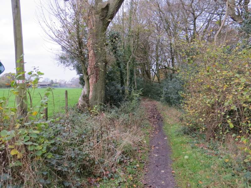 Pete's Walks Great Missenden and Coombe Hill (page 1 of 5)